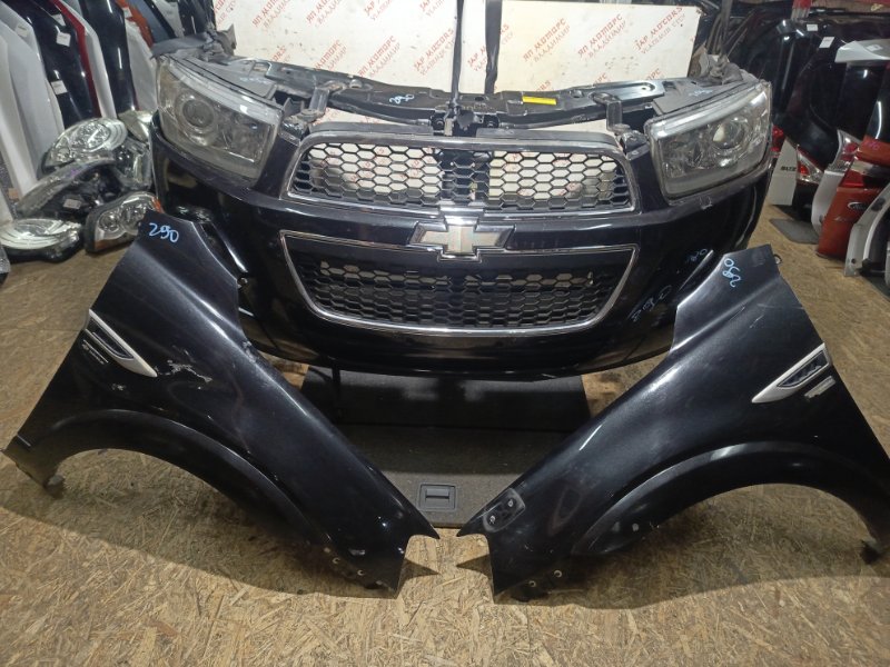 Ноускат, 155000 рублей, Владимир