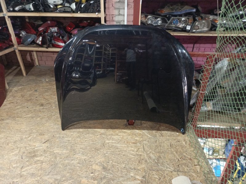 Ноускат, 155000 рублей, Владимир