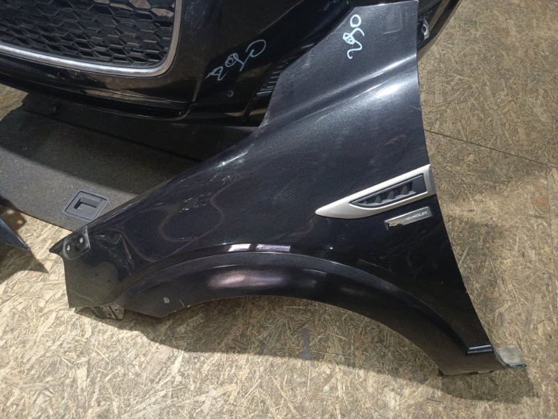 Ноускат, 155000 рублей, Владимир