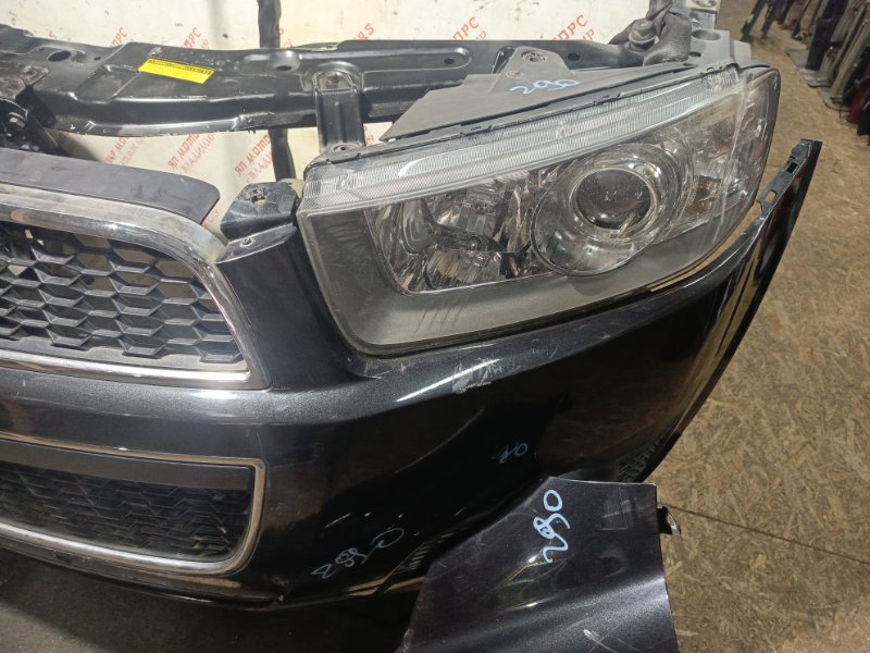 Ноускат, 155000 рублей, Владимир