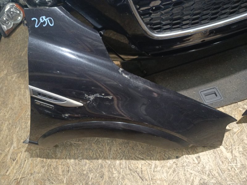 Ноускат, 155000 рублей, Владимир