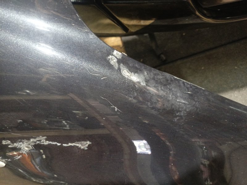 Ноускат, 155000 рублей, Владимир