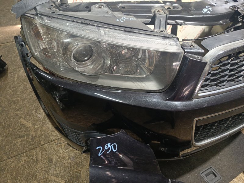 Ноускат, 155000 рублей, Владимир