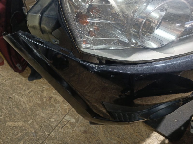 Ноускат, 155000 рублей, Владимир