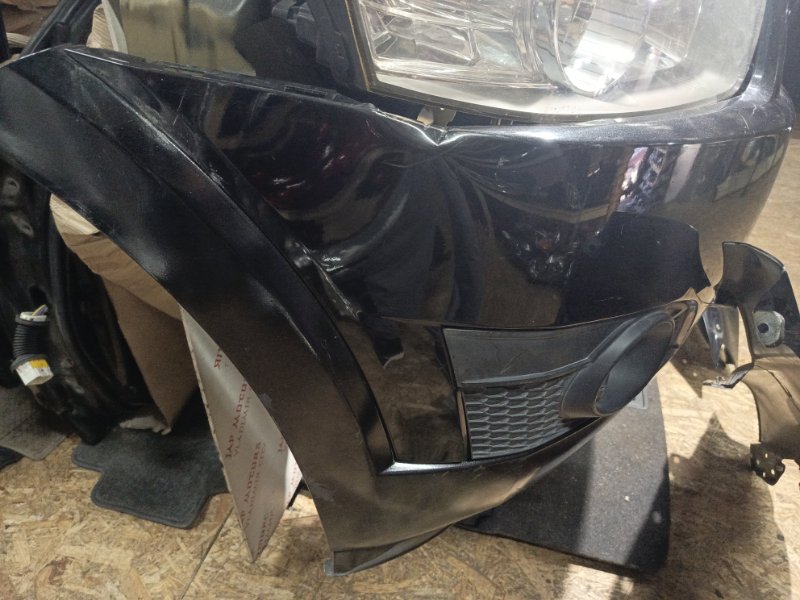 Ноускат, 155000 рублей, Владимир