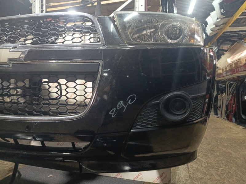 Ноускат, 155000 рублей, Владимир