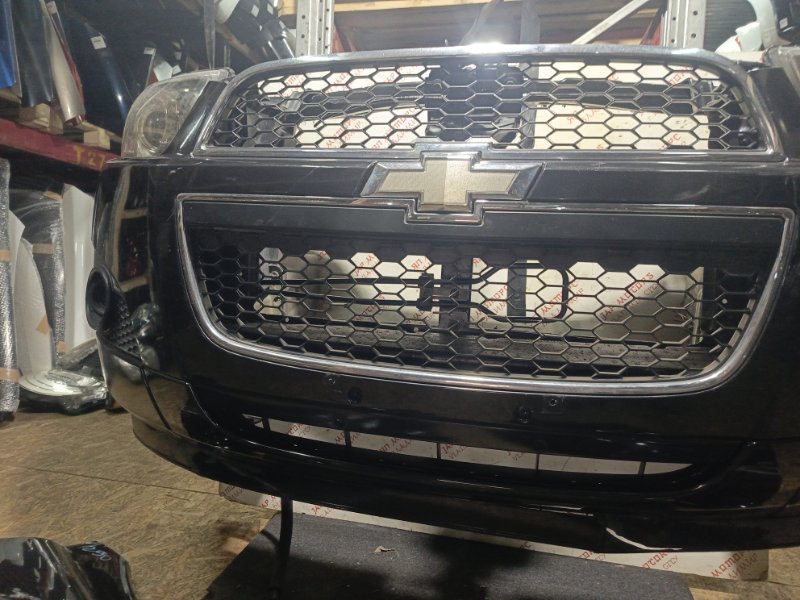 Ноускат, 155000 рублей, Владимир