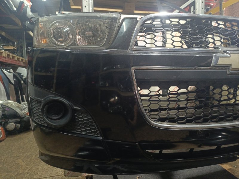 Ноускат, 155000 рублей, Владимир