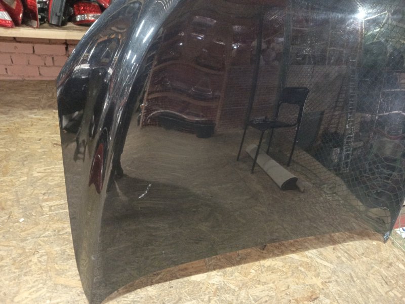 Ноускат, 155000 рублей, Владимир