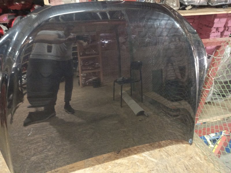 Ноускат, 155000 рублей, Владимир