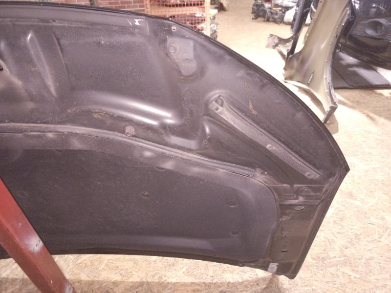 Ноускат, 155000 рублей, Владимир