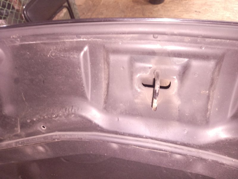 Ноускат, 155000 рублей, Владимир