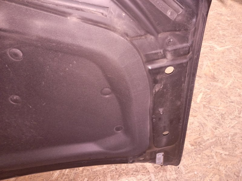 Ноускат, 155000 рублей, Владимир