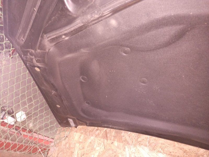 Ноускат, 155000 рублей, Владимир