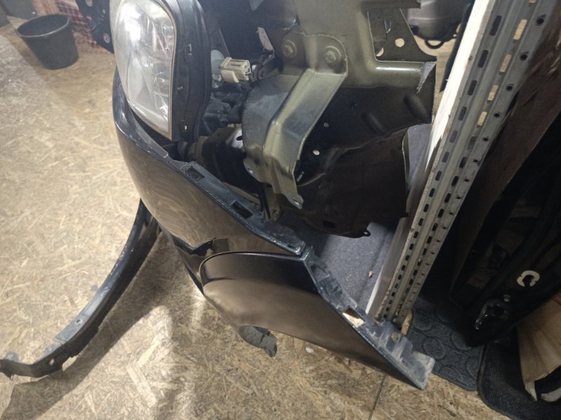 Ноускат, 155000 рублей, Владимир