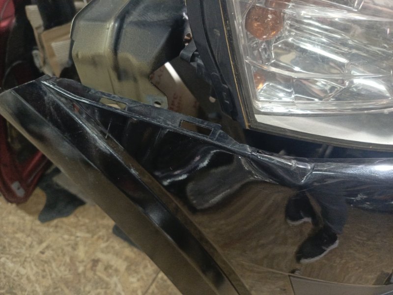 Ноускат, 155000 рублей, Владимир