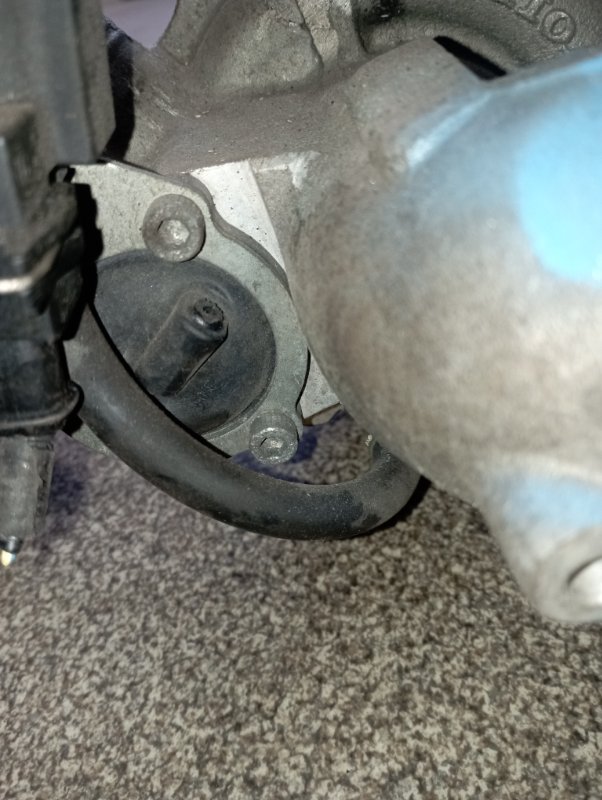 Турбина, 21000 рублей, Владимир