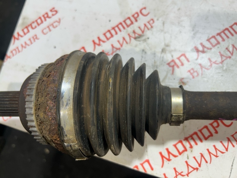 Привод, 9000 рублей, Владимир