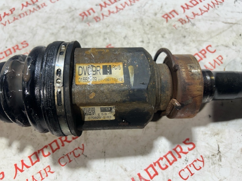 Привод, 9000 рублей, Владимир