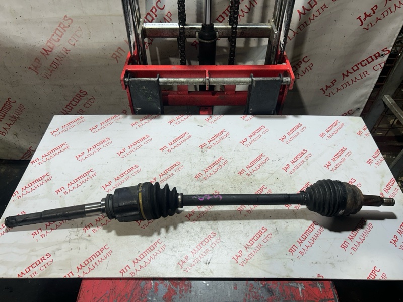 Привод, 5000 рублей, Владимир