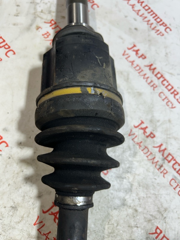 Привод, 5000 рублей, Владимир