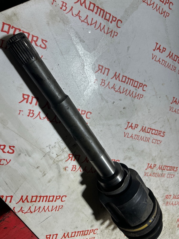 Привод, 5000 рублей, Владимир