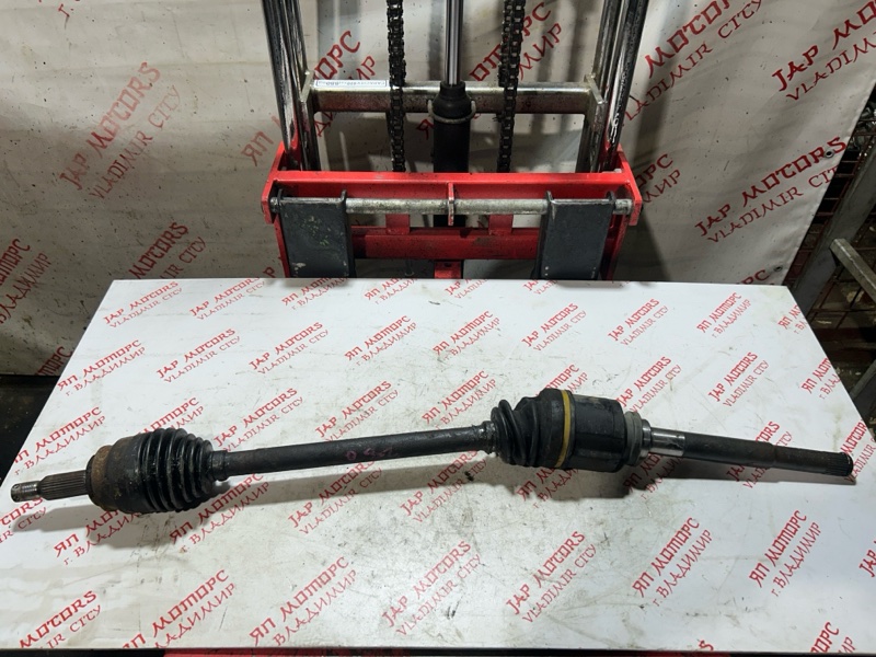 Привод, 4000 рублей, Владимир