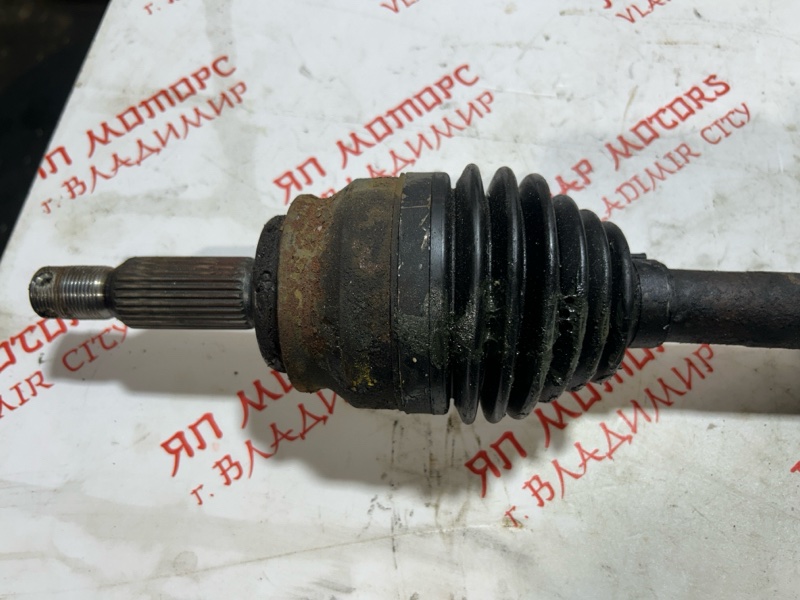 Привод, 4000 рублей, Владимир