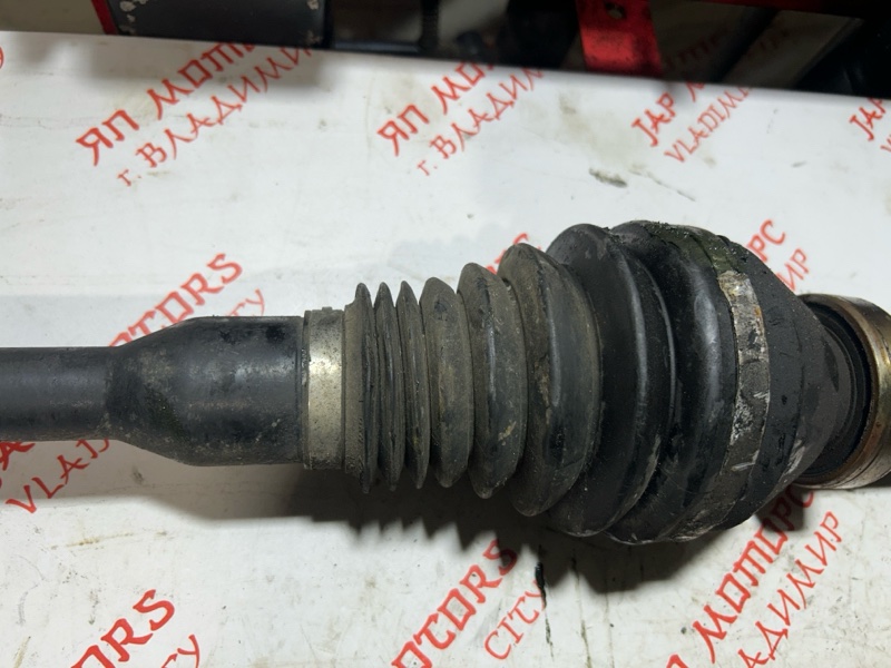 Привод, 9000 рублей, Владимир