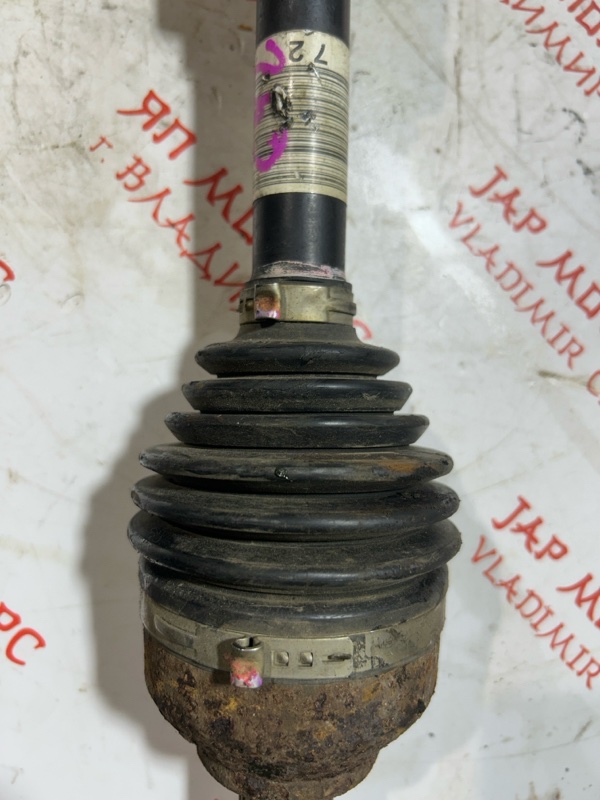 Привод, 7000 рублей, Владимир