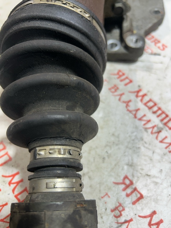 Привод, 7000 рублей, Владимир