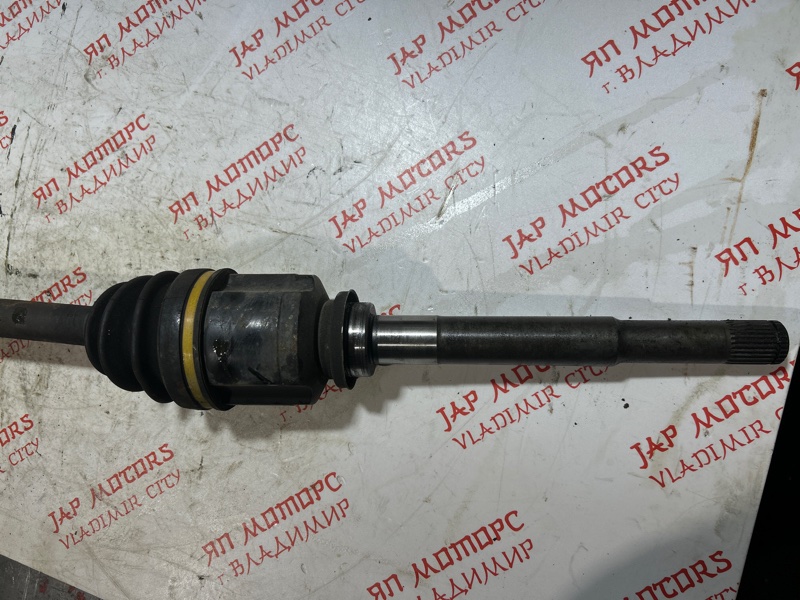 Привод, 4000 рублей, Владимир