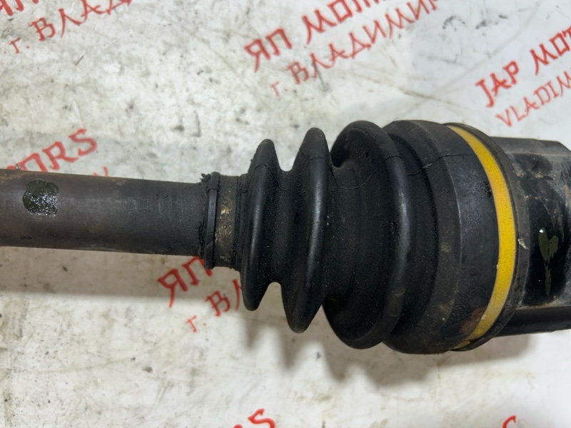 Привод, 4000 рублей, Владимир