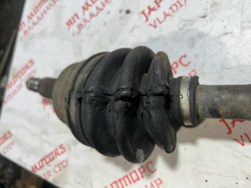 Привод, 4000 рублей, Владимир