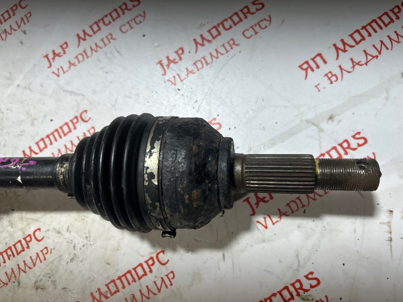 Привод, 6000 рублей, Владимир