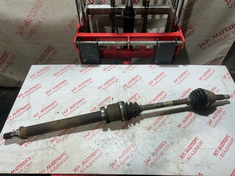 Привод, 6000 рублей, Владимир