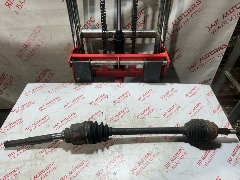 Привод, 6000 рублей, Владимир