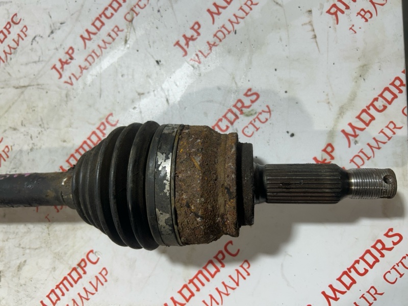 Привод, 6000 рублей, Владимир