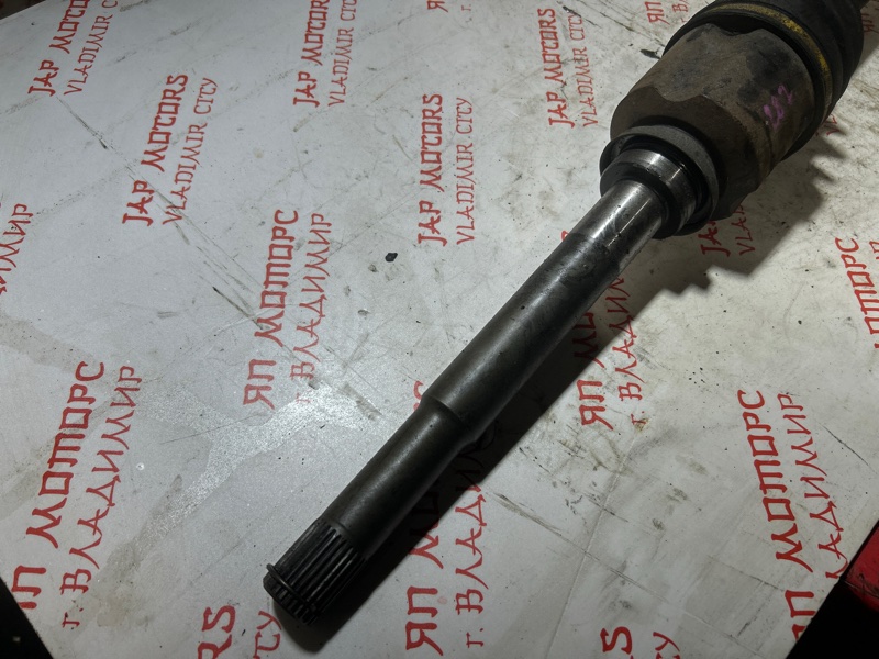 Привод, 6000 рублей, Владимир