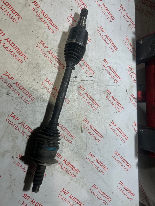 Привод, 5000 рублей, Владимир