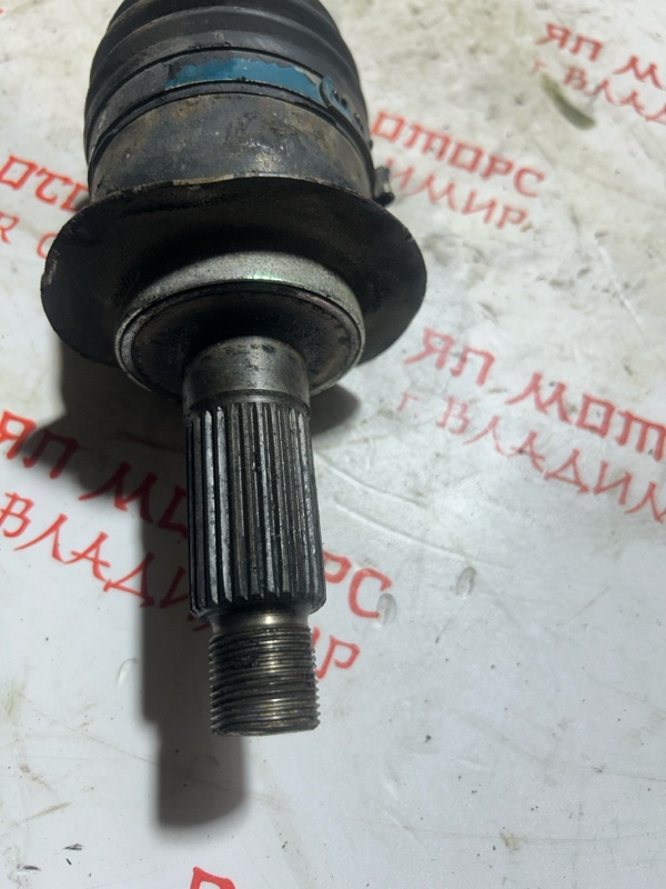 Привод, 5000 рублей, Владимир