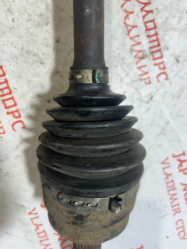 Привод, 5000 рублей, Владимир