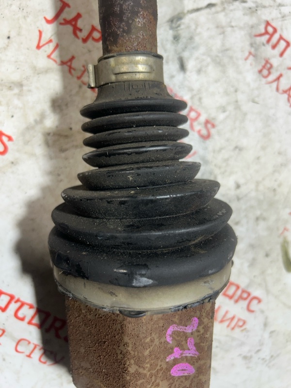 Привод, 10000 рублей, Владимир