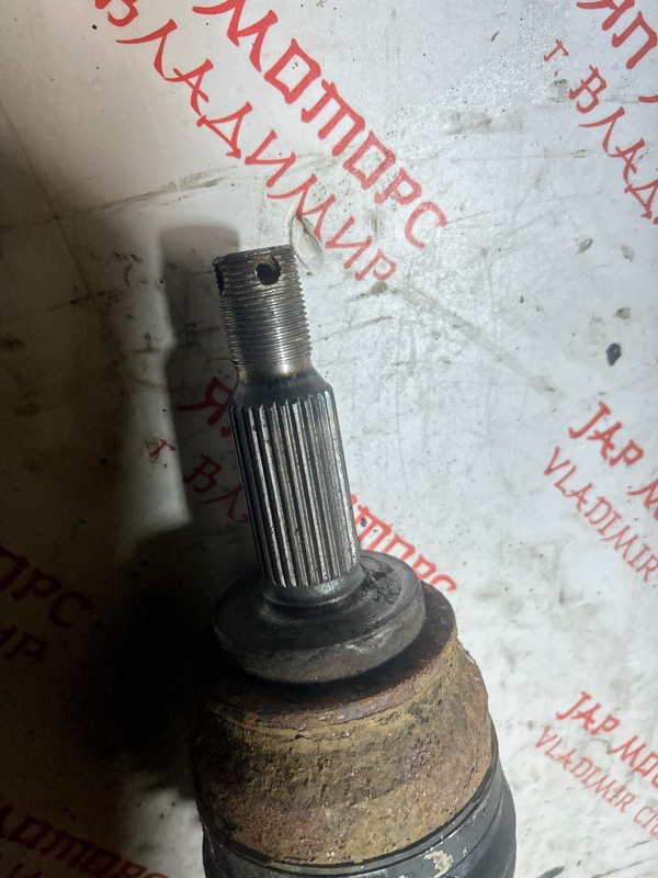 Привод, 4000 рублей, Владимир