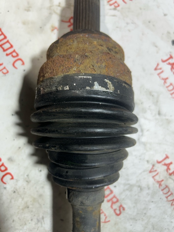 Привод, 4000 рублей, Владимир