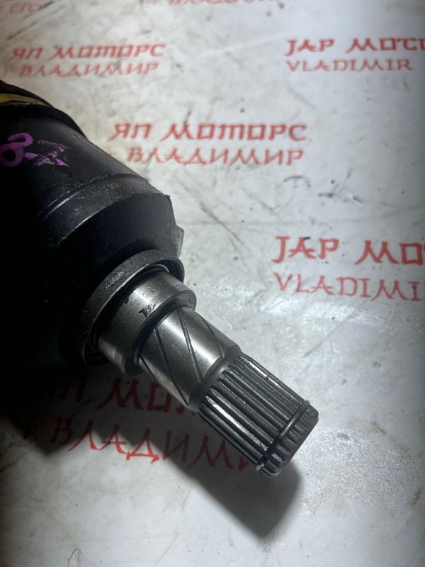 Привод, 4000 рублей, Владимир