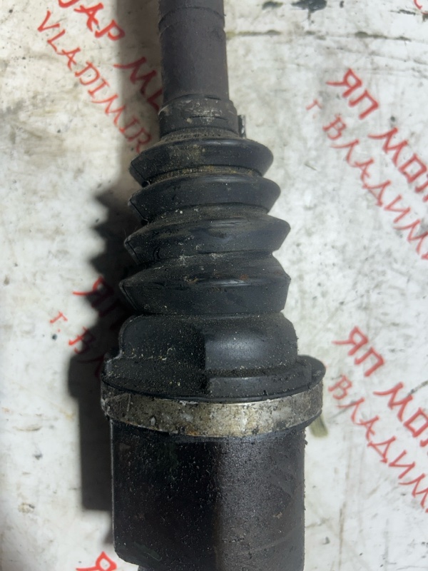 Привод, 4000 рублей, Владимир