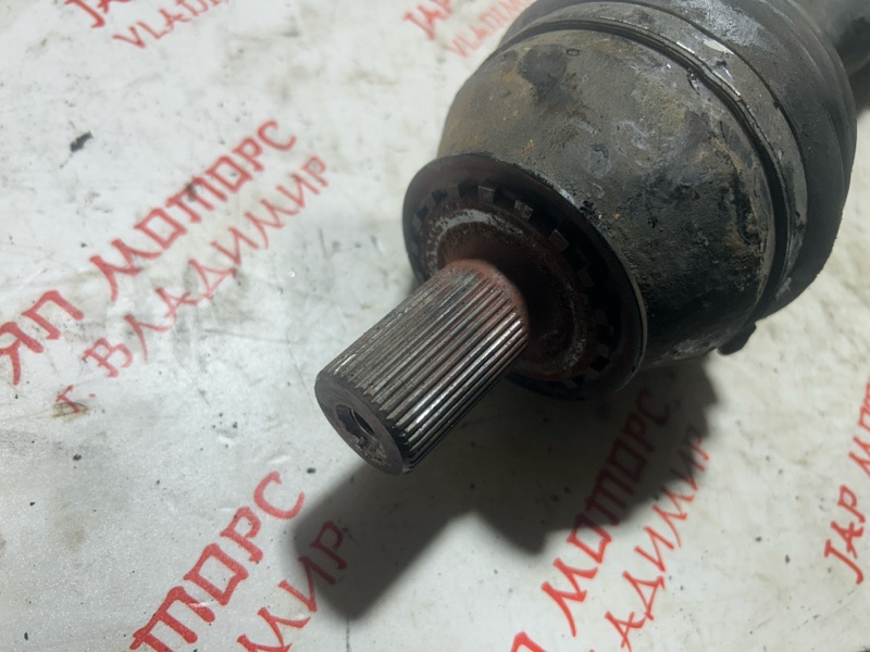 Привод, 7000 рублей, Владимир