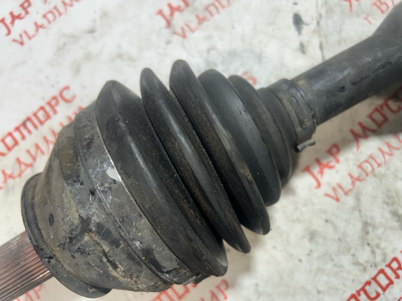 Привод, 7000 рублей, Владимир