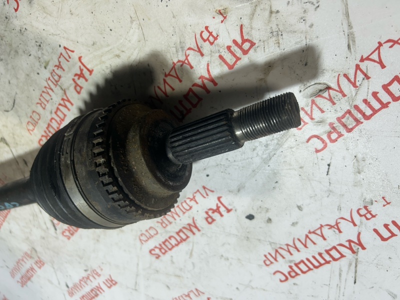 Привод, 4000 рублей, Владимир